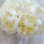 Bridal Bouquets Ref: BB075