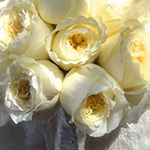 Bridal Bouquets Ref: BB092